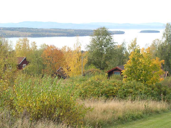 2005