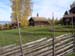 2005